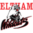 艾特姆野猫